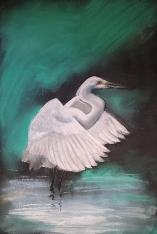 Pastell, "ägretthäger"