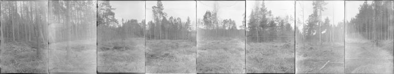 Tommi Hakkarainen
Suoksi pitää sinun jälleen tuleman
8 pigmenttivedosta kaarevassa kehyksessä
166x33x25cm
2025