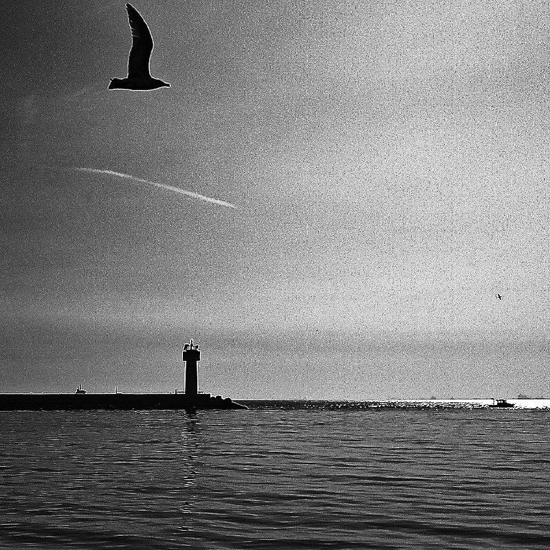 J. Pikkujämsä - Go Like Water II, 2025