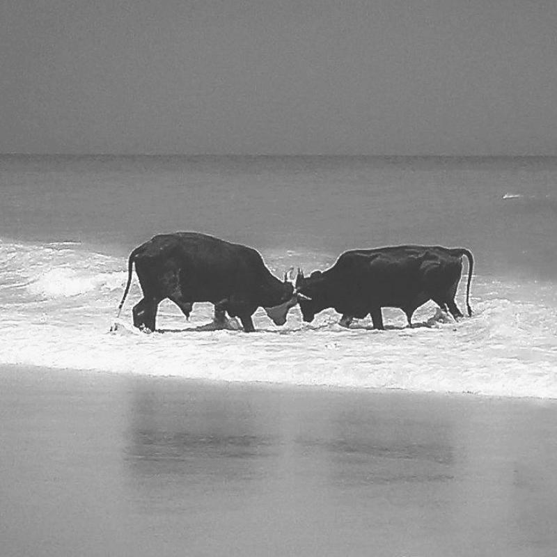 J. Pikkujämsä - Go Like Water III, 2024