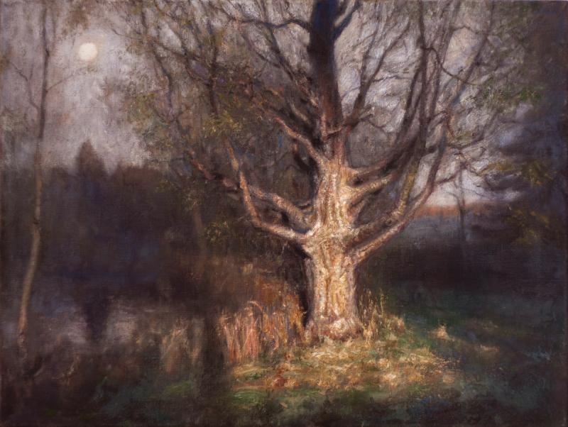 Porträtt av en stor björk, sista ljus, vår. 55 x 73 cm. Olja på linne. Målad efter studier gjorda på plats.