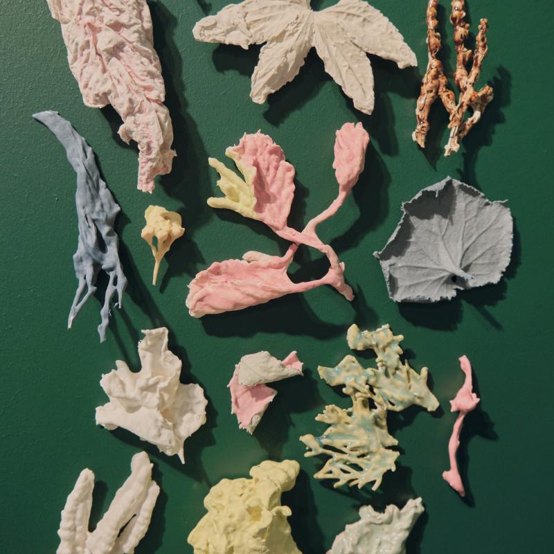 Lähikuva Pieniä ihmeitä -installaatiosta. Keramiikka ja posliini.  2024. Anni Honkajuuri.