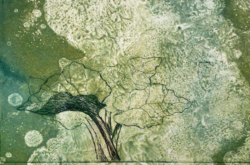 Tiina Eräpuu, Raparperi, etsaus/monotypia, 10 x 14 cm, 2024
