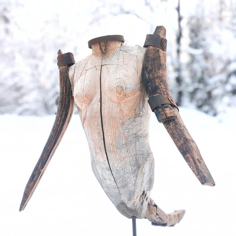 Hafmeya, 2026, puu, rauta 70 x 50 x 100cm