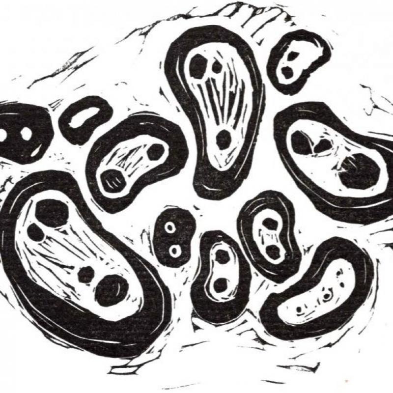 Nina Pulkkis, Microbes, linoleum print, 2025 