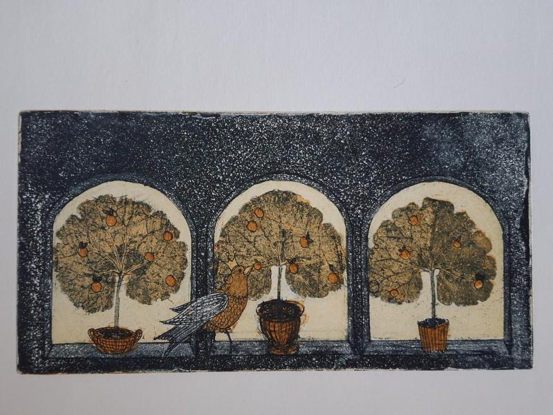 Tuula Tuononen, Sitrussieppo, viivasyövytys ja akvatinta, 2024