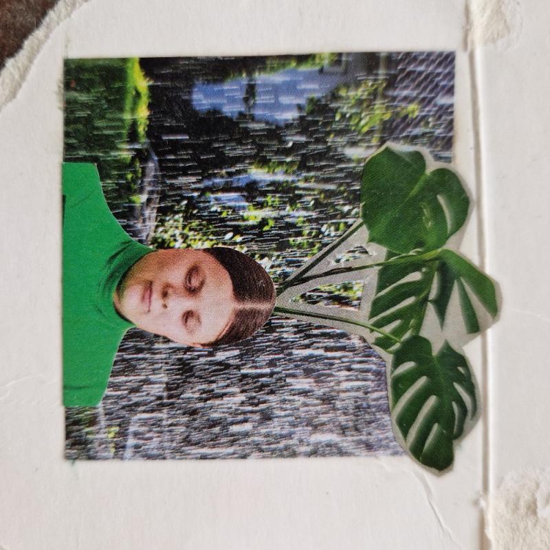 Kollaasi maitotölkille