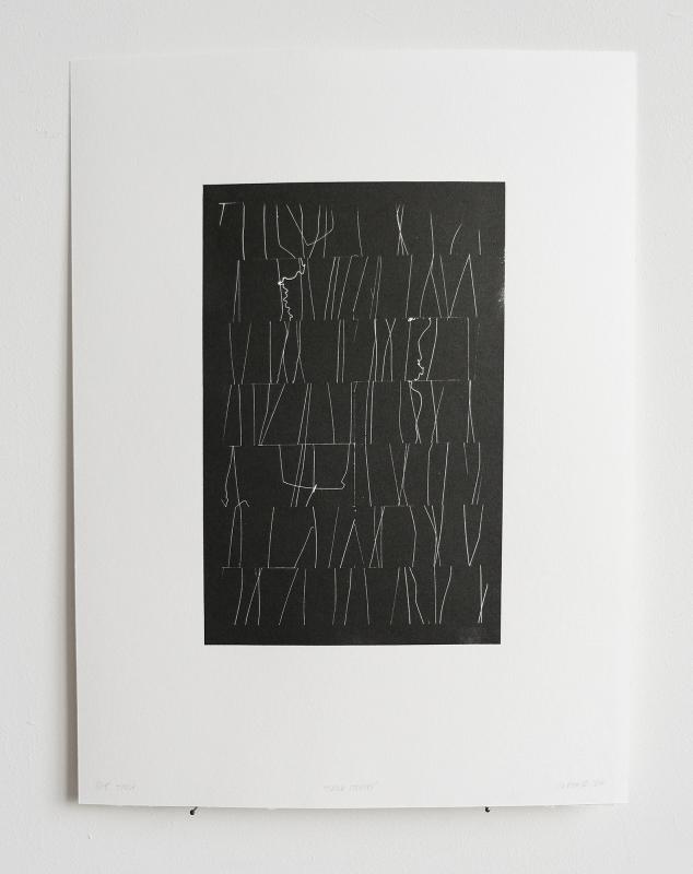 "True Stories" koko 48x38, polymeerigravyyri