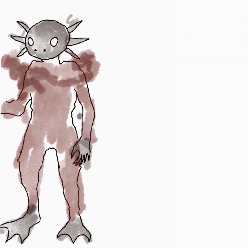 Linnea Korpi, Monster Finch, digital illustration (Procreate) , 2025