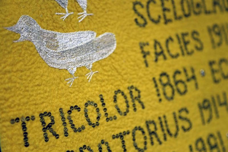 Tupu Mentu: Disappearing Nature, huovutu ja kirjonta 2021