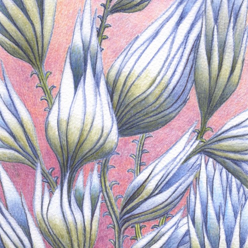 Tarja Kankkunen, Florens cogitatio 2026
Mustepuuvärit ja laveeraus, 26 cm x 17,5 cm