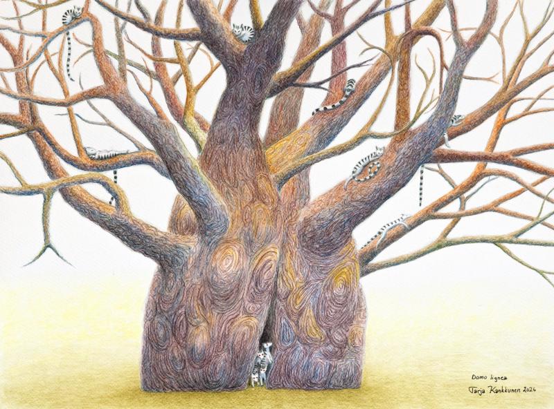 Tarja Kankkunen, Domo lignea, 2026
Mustepuuvärit ja laveeraus,  36 cm x 48 cm
