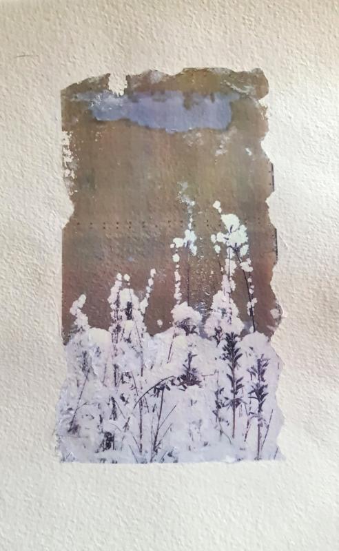 Vuokko Salmenkivi Lumipuvussa valokuvansiirto paperille 19x26 2026.jpg