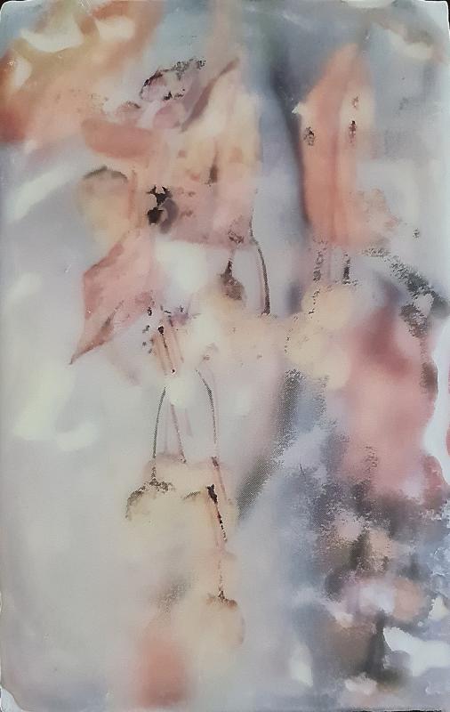 Vuokko Salmenkivi Vain aavistus valokuvansiirto puulle mehiläisvahalla 10 x16 2025