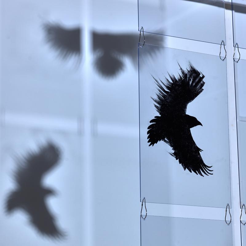 Sielulintu, 2021, installaatio