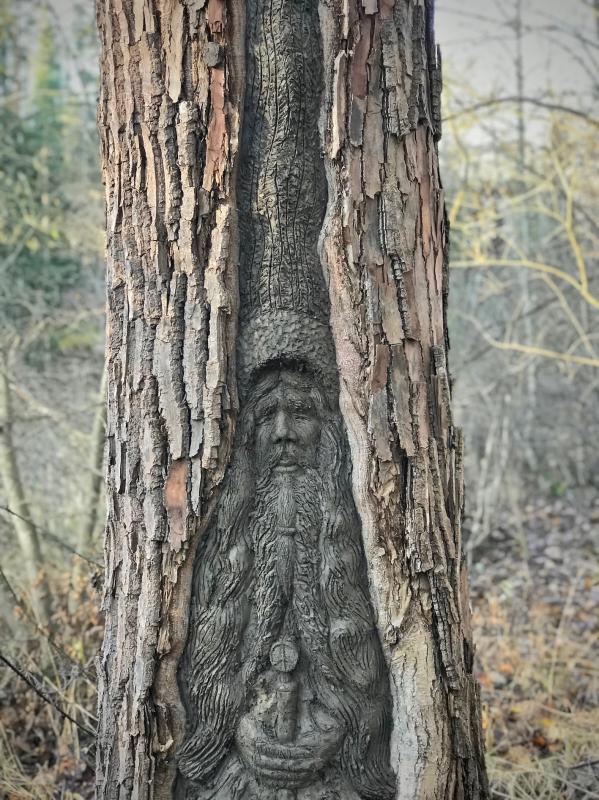 Welho, luonnonsavi puunrungolle, 2021