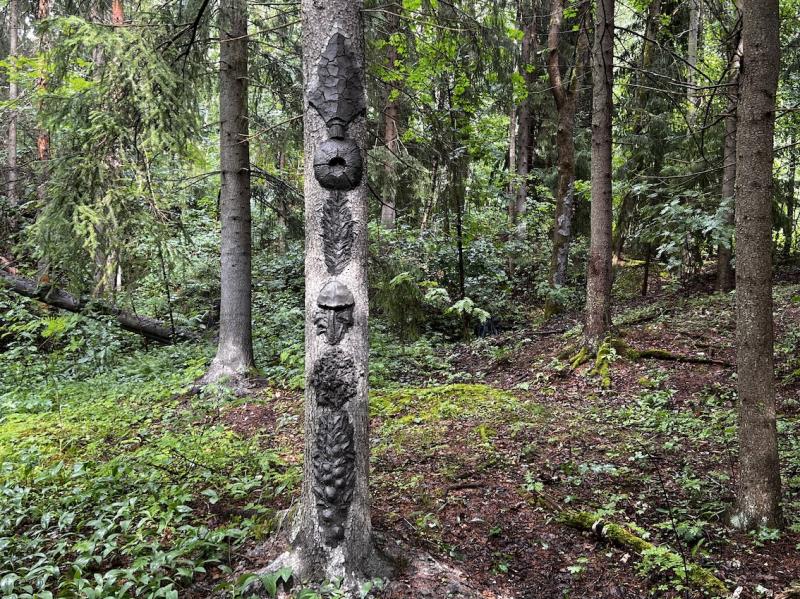 Uhripuu, luonnonsavi puunrungolle, 2024