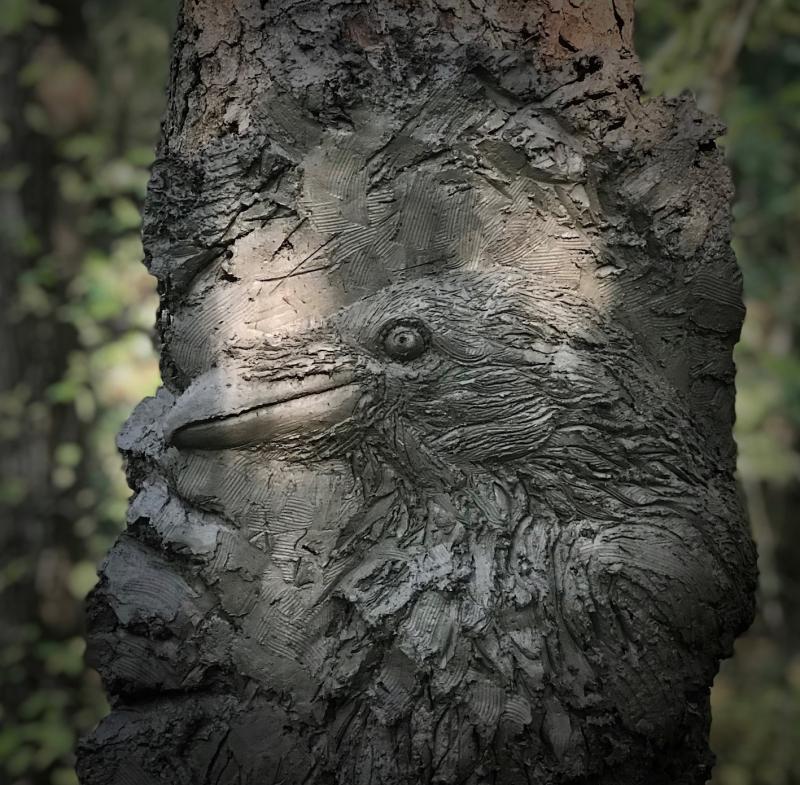 korppi, luonnonsavi puunrungolle, 2021