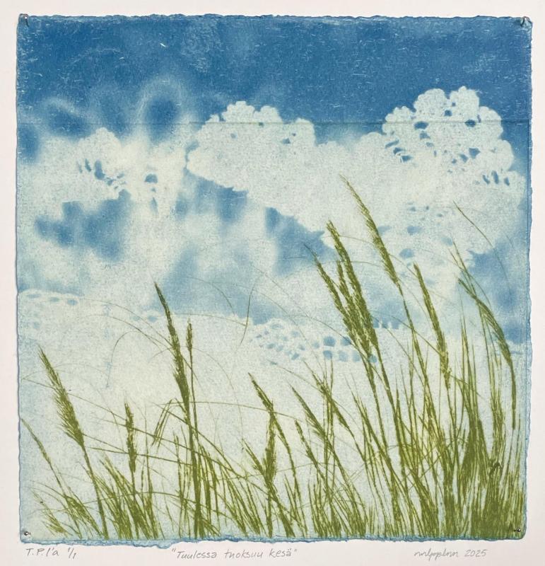 Nina Lappalainen, Tuulessa tuoksuu kesä, kuivaneula syanotypialle, 18 x 18 [cm], 2025