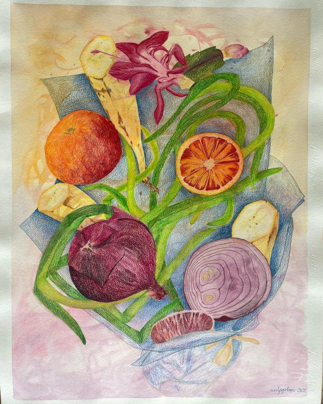 Nina Lappalainen, Sidon kimppuni toisin, akvarelli ja värikynät paperille, 65 x 50 [cm], 2025