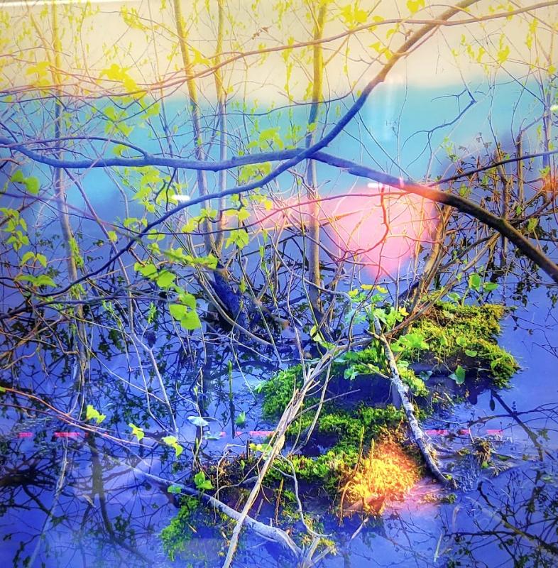 RaijaKuisma_Pink_valokuva lasille,40X40cm_2025