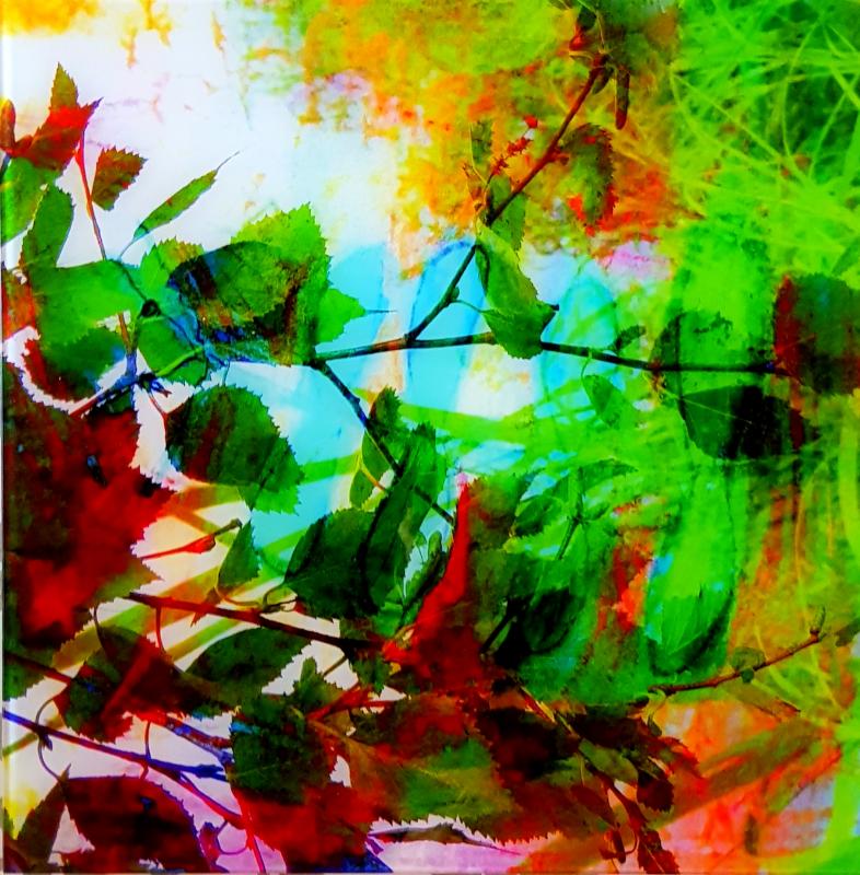 RaijaKuisma_Polku_valokuvalasille_40X40cm_2023