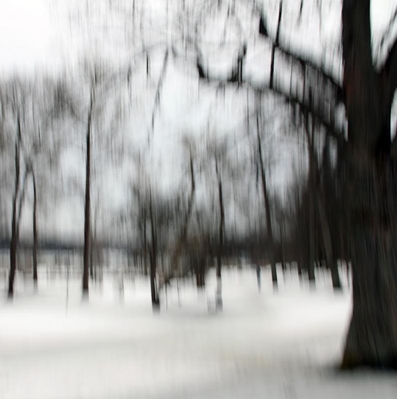 Sanna Johansson, Puotila, valokuvavedos, 30 x 45 cm, 2022