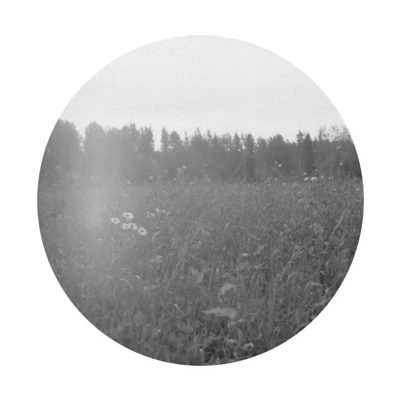 Sanna Johansson, Niitty, valokuvavedos, 30 x 30 cm, 2023