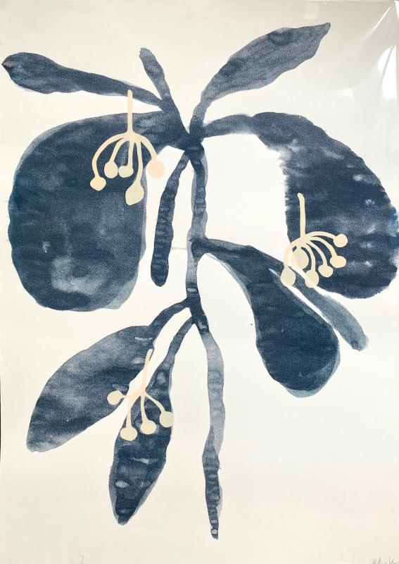 Milla Vainio,Vita,serigrafia,50cm x70cm,2024