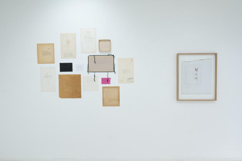 Terhi Heino. Tekstiteos läsnä, mutta poissa ja 24.päivä . Koko vaihtelee .2022.