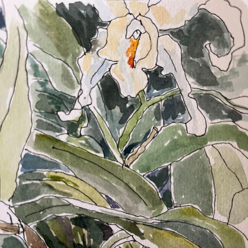 Kaisu Heikkilä, aihekuva, akvarelli, 2026