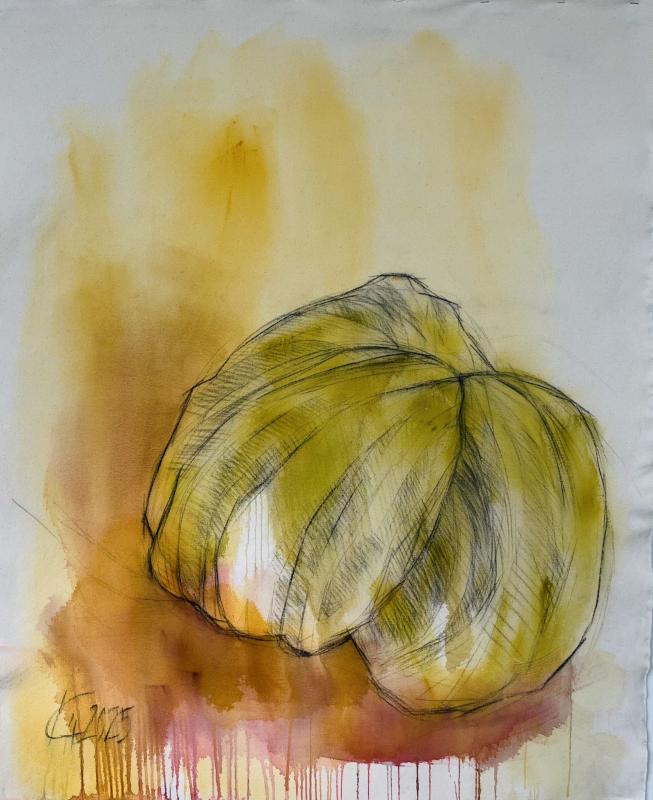 Kaisu Heikkilä, Krassin siemen, hiili ja akryyli kankaalle, 2025