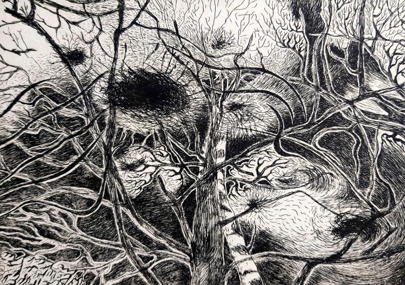 Hetken aikaa koko universumi / 2025 / etsaus