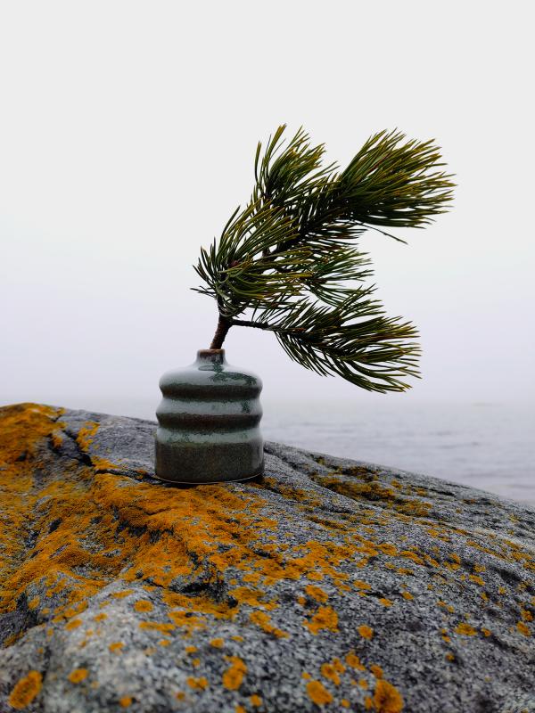 Liisa-vaasi, kivitavara