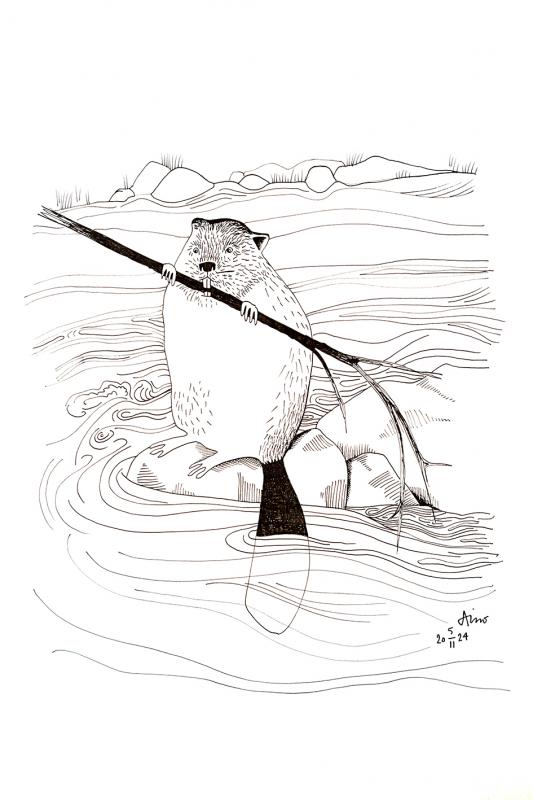 Majava, mustekynä paperille 20x30cm