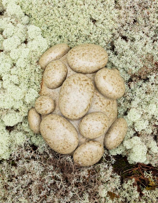 Jenni Ahonen, Minusta on moneksi, Käsinrakennettu keramiikka /kivitavara, 11,5 x 27,5 x 22,5 cm, 2024.