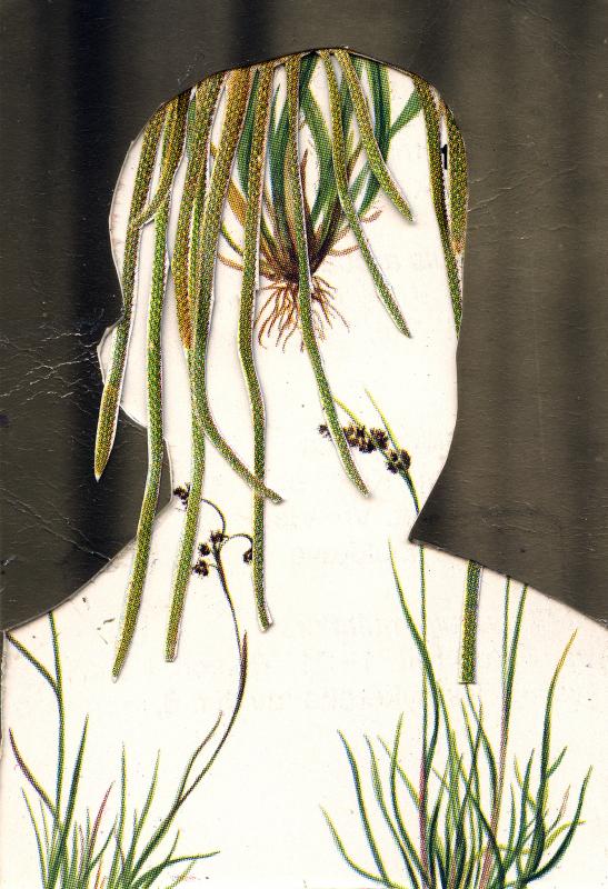 Käärmekaktus, collage in frames, 16 x 19 cm in frames, 2018