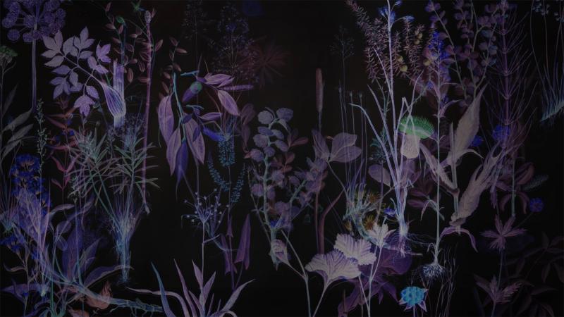 Njahcu (Warm Winters), still from video +  a design for Album cover & poster, 2024