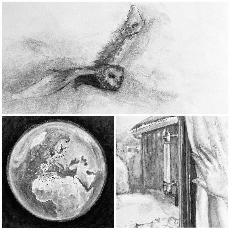 Kuvia hiilipiirrosanimaatiosta Pöllö ja pilvien hiekka, Outi Korhonen, 2023. 