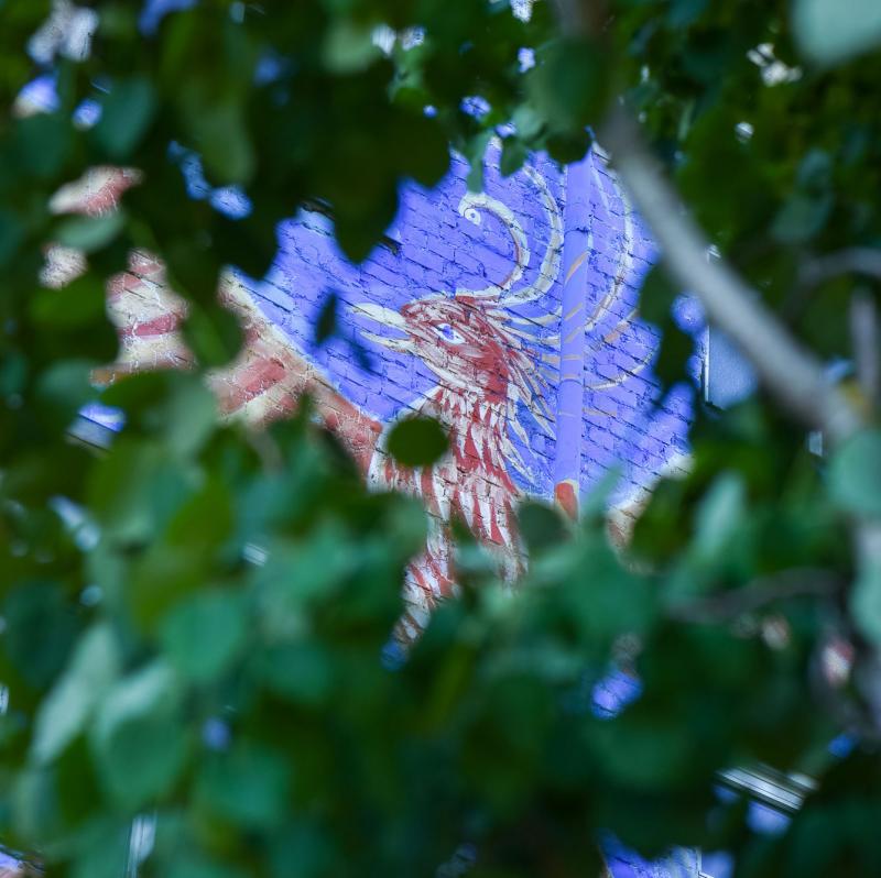 Seinämaalaus Hub Feenixin julkisivussa