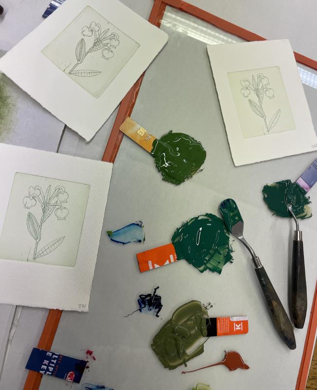 Piia Vainio, prosessikuva ”Andromeda polifolia” -sarjan vedoksia ja sarjan vedostamiseen käytettyjä värejä, 2025