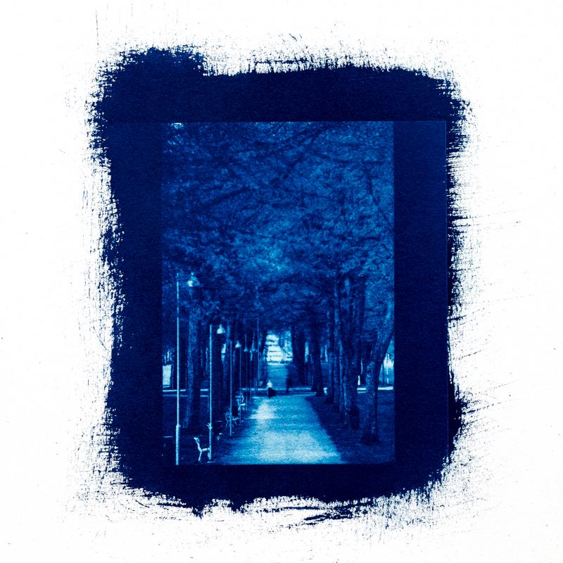 Cyanotypi  på akvarellpapper, Love Esplanaden