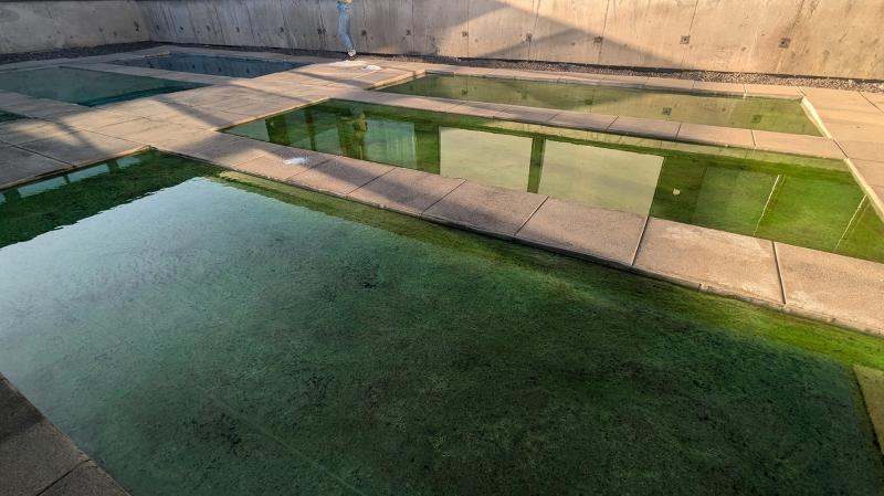 The Green Sun,  exhibition view.