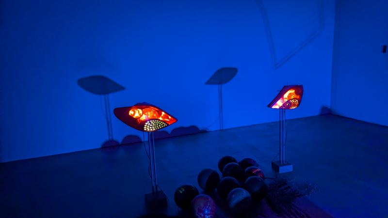 Techscape Crossing, exhibition view HAM.