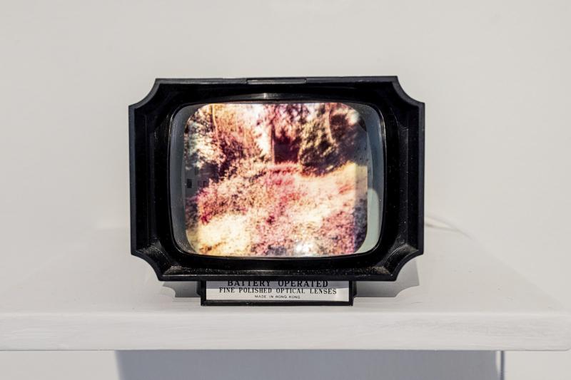 teos kokonaisuudesta Tunkio, 2023
kasvipigmenttejä, Halina-katselulaite, objet trouvé, tulosteita teepusseissa, maanäyte
