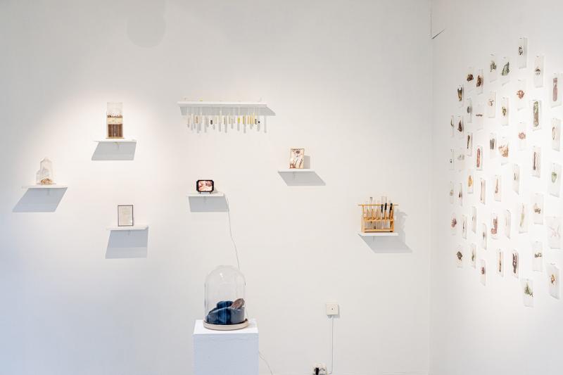 Tunkio, 2023
kasvipigmenttejä, Halina-katselulaite, objet trouvé, tulosteita teepusseissa, maanäyte
