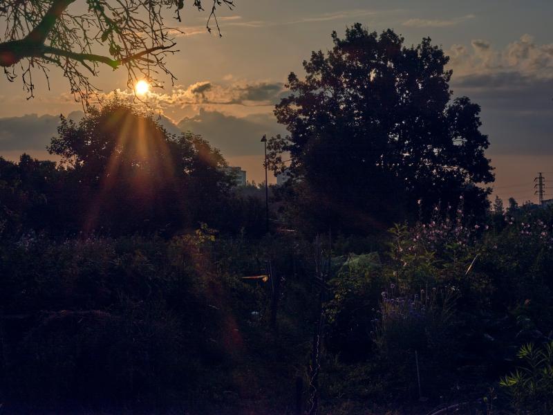 Sandra Vuori, A 20-minute Bike Ride from Helsinki City Center
90 cm x 120 cm 2025,  pigment print, mounted on composite aluminium