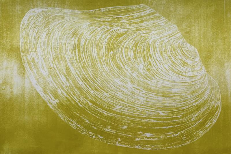 Anna Salmi, Täällä on tilaa vain yhdelle, öljyväripuupiirros, 140 x 90 cm, 2022