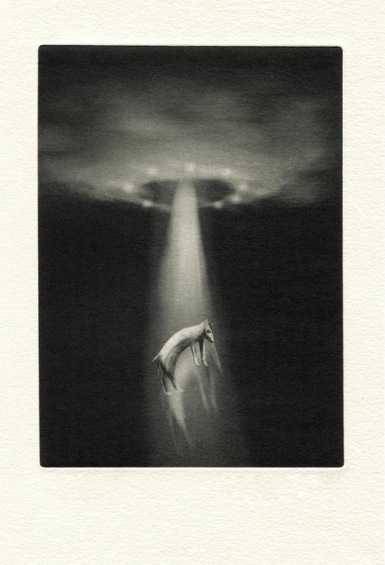 Koirani meni taivaaseen, 2025 / Fotopolymeerigravyyri