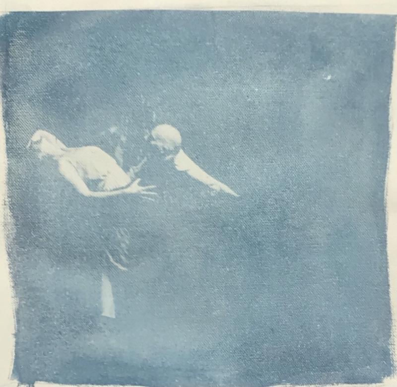 Tantric wind. 2021. Syanotypia 20x20